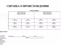 Баран, Лакон овца — фото 4