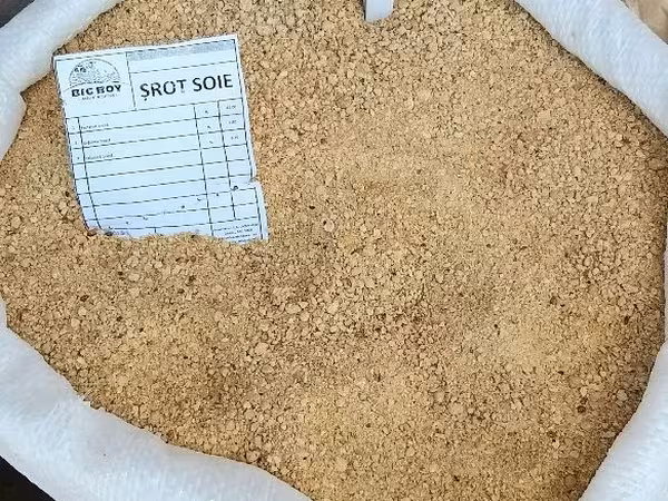 Vind Srot de soia. Proteina de 45%. Este de o calitate superioara.