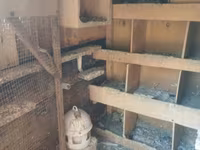Taxta quşxana/yuvalıq kabineti - Material: qalın taxta karkas, ön — foto 3