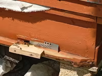 Arıçılıq üçün taxta arı pətəyi - Material: qalın taxta, ön hissədə — 3-сурет
