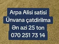 Arpa topdan satış - Yemlik arpa - Minimum sifariş miqdarı: 25 ton - — 4-сурет