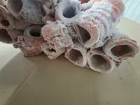 Трахею говяжью — फ़ोटो 1