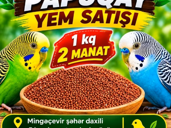 Papuqay üçün yem satışı. - Məhsul: xırda dənəli papuqay yemi (darı