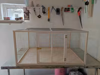 Papuqay,dovşan,hamster,şinşila,bildirçin,cücə,xamyak,pişik,quş,tısbağa — फ़ोटो 1