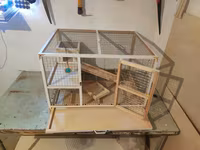 Papuqay,dovşan,hamster,şinşila,bildirçin,cücə,xamyak,pişik,quş,tısbağa — 5-сурет