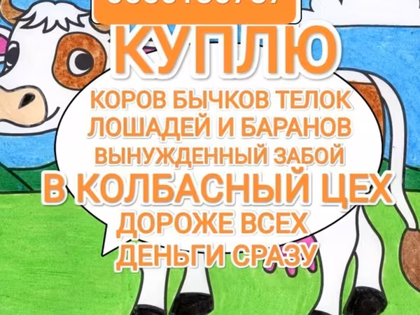 Лошади