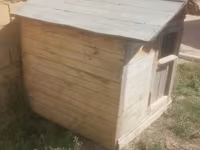 Taxta it evi / dam - Material: qalın taxta karkas, taxta obşivka - — foto 4