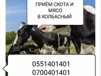 Туша, Самовывоз — фото 2