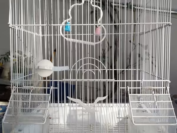 Ağ rəngli quş qəfəsi - Material: metal barlar, plastik altlıq - Ön