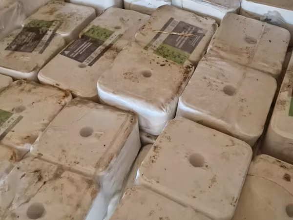 МАЛҒА АРНАЛҒАН ТҰЗДАР бір штугі 300 тг