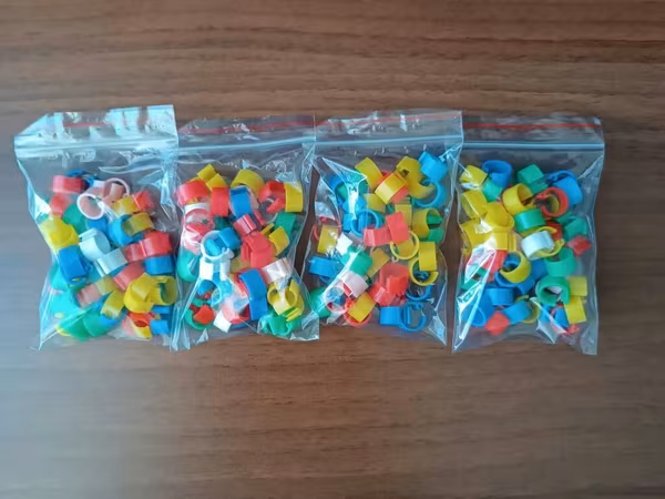 Rəngli quş barmaq üzükləri – identifikasiya üçün - Məhsul: Kiçik