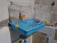 Quş qəfəsi – orta ölçülü, metal barmaqlıqlı və mavi plastik altlıqla — 2-сурет