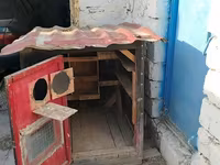 Taxta göyərçin daxması / quşxana - Material: qalın taxta karkas, iç — foto 4