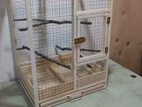 Papuqay,dovşan,hamster,şinşila,bildirçin,cücə,xamyak,pişik,quş,tısbağa — फ़ोटो 2