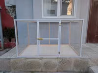 Papuqay,dovşan,hamster,şinşila,bildirçin,cücə,xamyak,pişik,quş,tısbağa — foto 1
