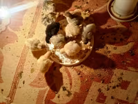 Turkeys — Foto 1