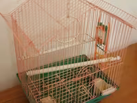 Çəhrayı rəngli, normal ölçülü quş qəfəsi. Yem və su üçün iki ədəd qabı — Foto 1