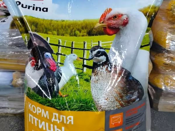 Broyler yemleri
hinduska yemleri 
Rusiya istehsali
