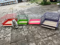 Etrafli vp 051 494 09 86 Qefeslerin her biri satişda var qefes bitende — الصورة 5