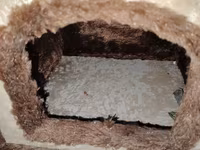 Pişik üçün oyun və istirahət kompleksi - Material: yumşaq plyuş/parça — 2-rasm