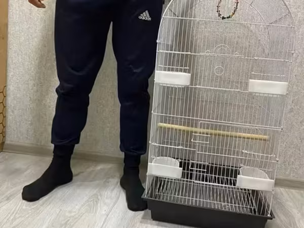 Watsapla elaqe saxlayin en yeke qefesler 60 azn 15-20 azn var Quş