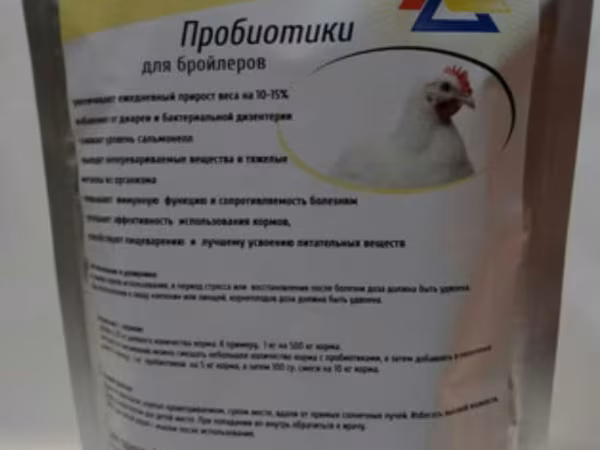 Chickens