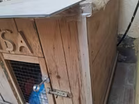 Taxta it evi - Material: təbii taxta lövhələrdən yığma, möhkəm karkas — Foto 2