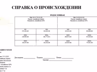 Козёл, Альпийская коза — фото 4