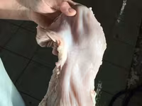Желудок свиной — 照片 4