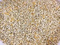 Зародыш кукурузный — 5-rasm