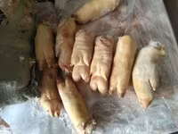 Ноги свиные(передние и задние) — foto 2