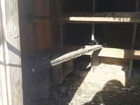Satılır: Taxta toyuq/broyler koykası (quşxana) Xüsusiyyətlər: - Tam — foto 2