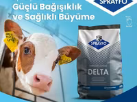 Sprayfo Delta buzov süd əvəzedicisi buzovların sağlam inkişafı və — الصورة 2
