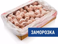 Тушка-несушка — الصورة 2