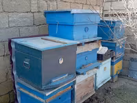 Arıçılıq üçün taxta pətəklər və üst korpuslar - Material: qalın — 1-rasm