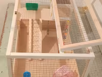 Hamster/kiçik gəmirici üçün geniş taxta — Foto 5