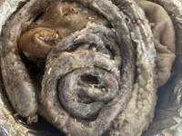 Ovejas (lote, sexo no especificado), Ovejas — foto 5