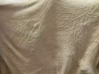 говяжьи и бараньи субпродукты — photo 5