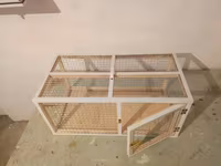 Dovşan,hamster,şinşila,bildirçin,cücə,xamyak,pişik,quş ve s kimi ev — photo 4