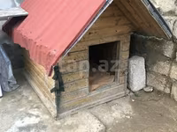 Taxta it evi - Material: qalın taxta karkas, ikiqat qırmızı — foto 1