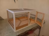Dovşan,hamster,şinşila,bildirçin,cücə,xamyak,pişik,quş ve s kimi ev — foto 3