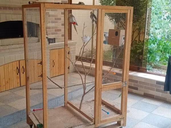 Böyük ölçülü taxta volyer/qartma qəfəs - Material: möhkəm taxta