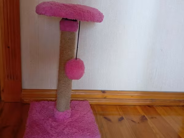 Böyük ölçü xl Pişik üçün qaşıma sütunu və oyun stendi b - Rəng