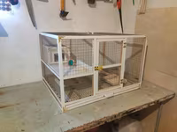 Papuqay,dovşan,hamster,şinşila,bildirçin,cücə,xamyak,pişik,quş,tısbağa — 3-сурет