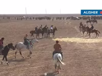 Caballos (lote, sexo no especificado), Caballos — foto 3