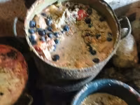 Vind carne de purcel — foto 4