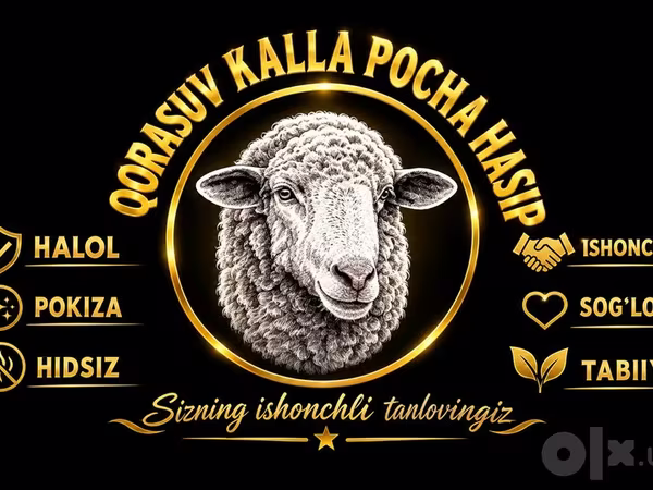 Qoyunlar (partiya, cinsi göstərilməyib), Qoyunlar