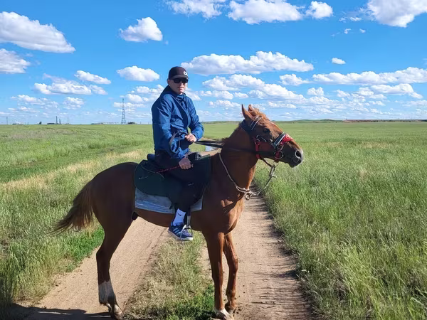 Hengst, Thoroughbred horse