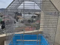 Quş qəfəsi – metal karkaslı, mavi plastik altlıqla - Material: möhkəm — Foto 1