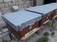 Arıçılıq üçün taxta arı yeşikləri (pətəklər). İçində 6 ay arı — photo 1